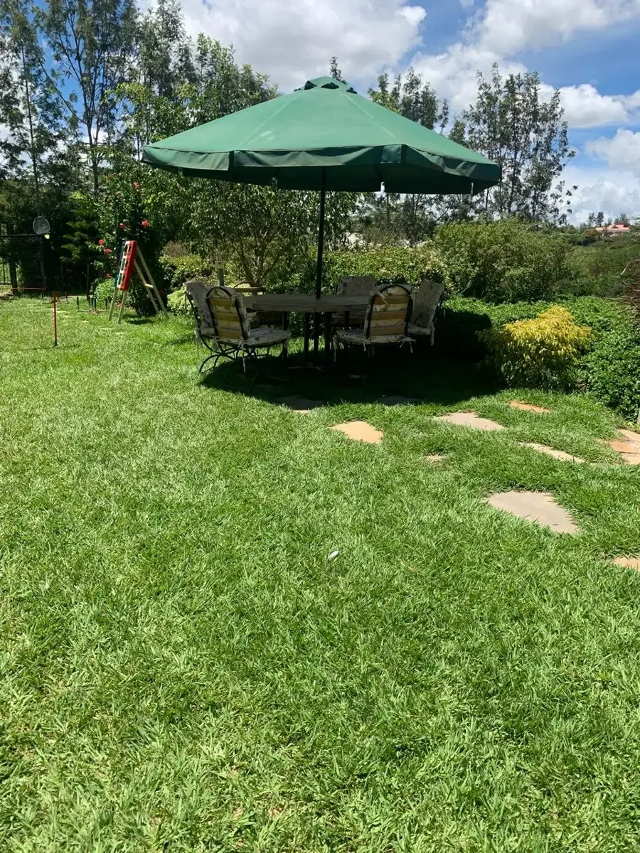 Open Air Field dining setup at Zamar Springs Gardens in Machakos dining space at Zamar Springs Gardens