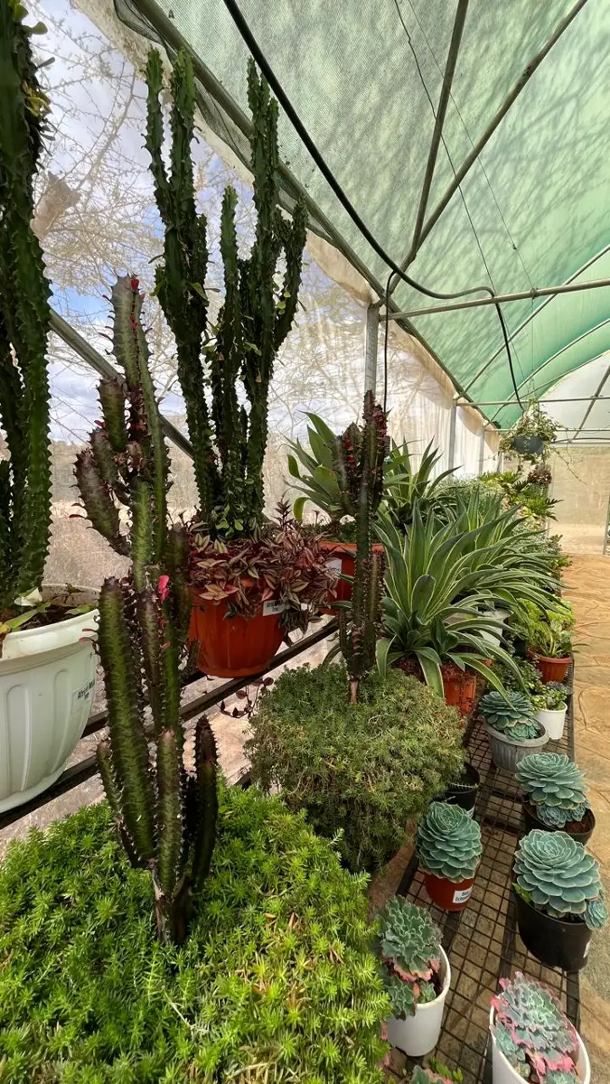 Best garden nurseries in machakos – Photo 1