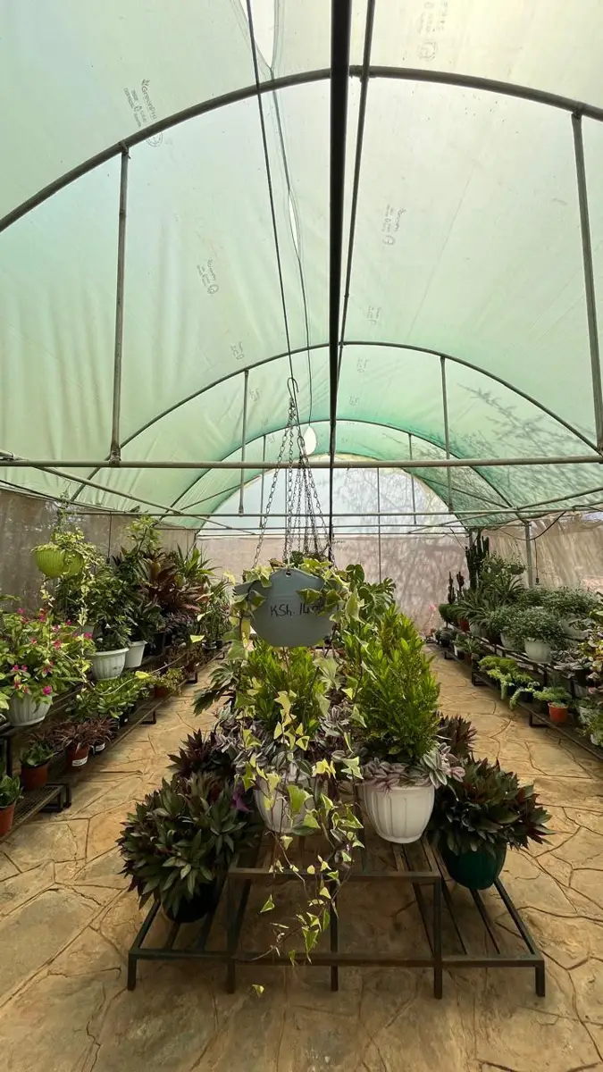 Best garden nurseries in machakos – Photo 4