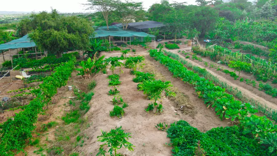Aerial view of Zamar Springs farm Machakos.